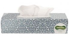 PALOMA - Zakdoeken tissue 2laags (100st) PALOMA - Zakdoeken tissue 2laags (100st)